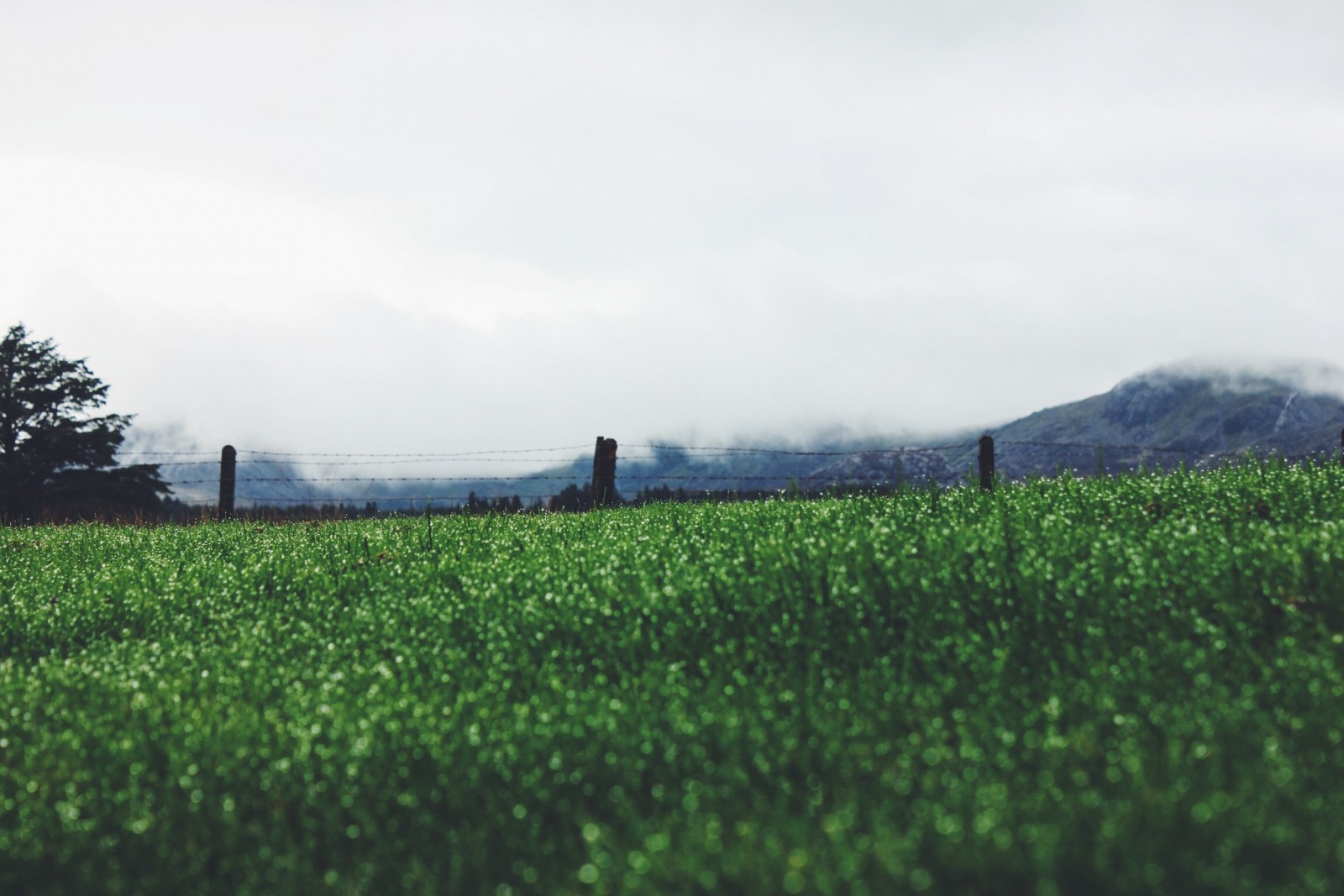 Wales Landscape