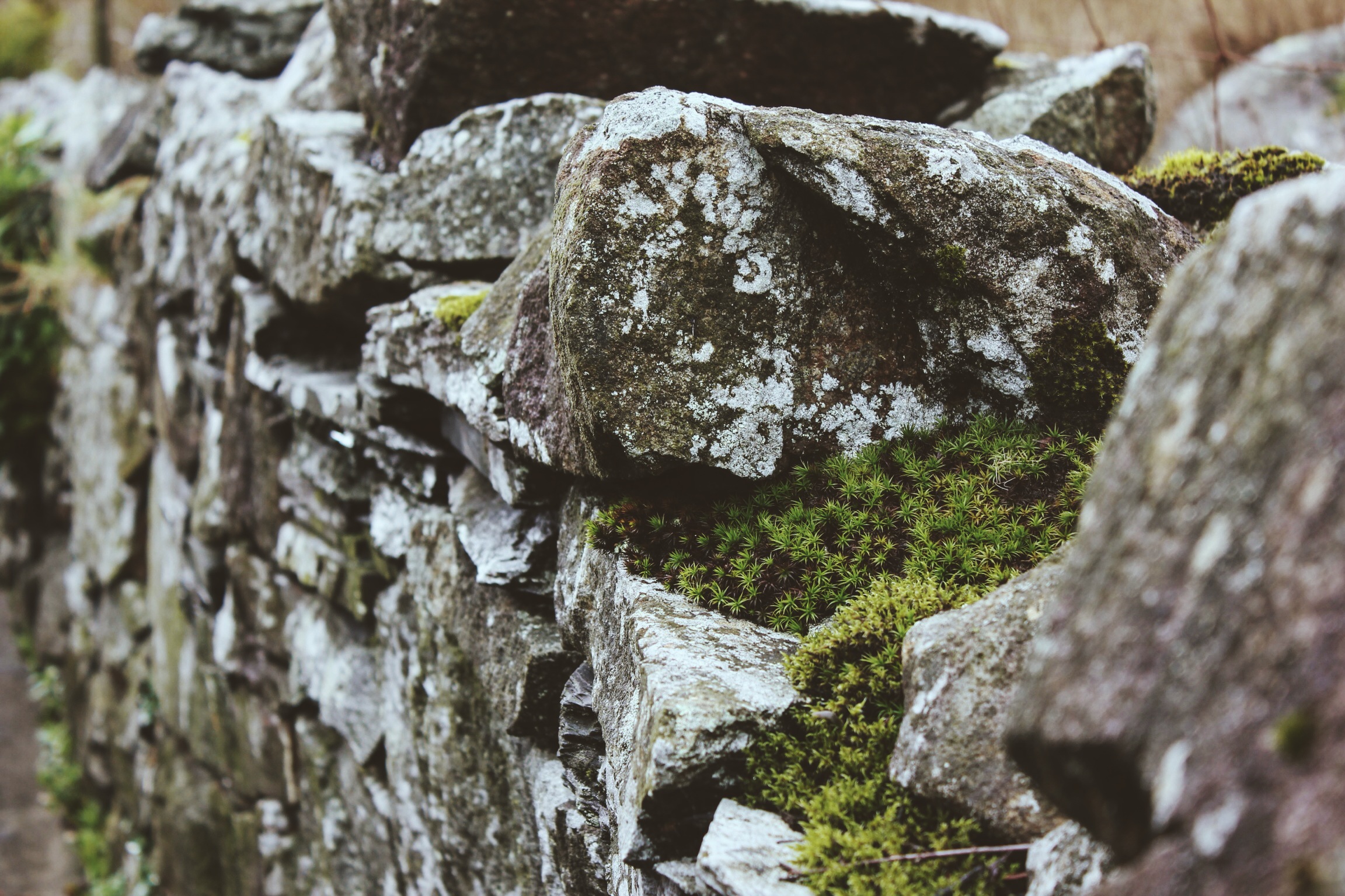 Wales Walls